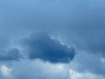 331-arasi.gif