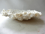 moco-2-1.gif